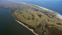 Wind op zee _ natuur Terschelling