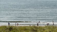 Wind op zee _ windturbines _ Borselle _ 4